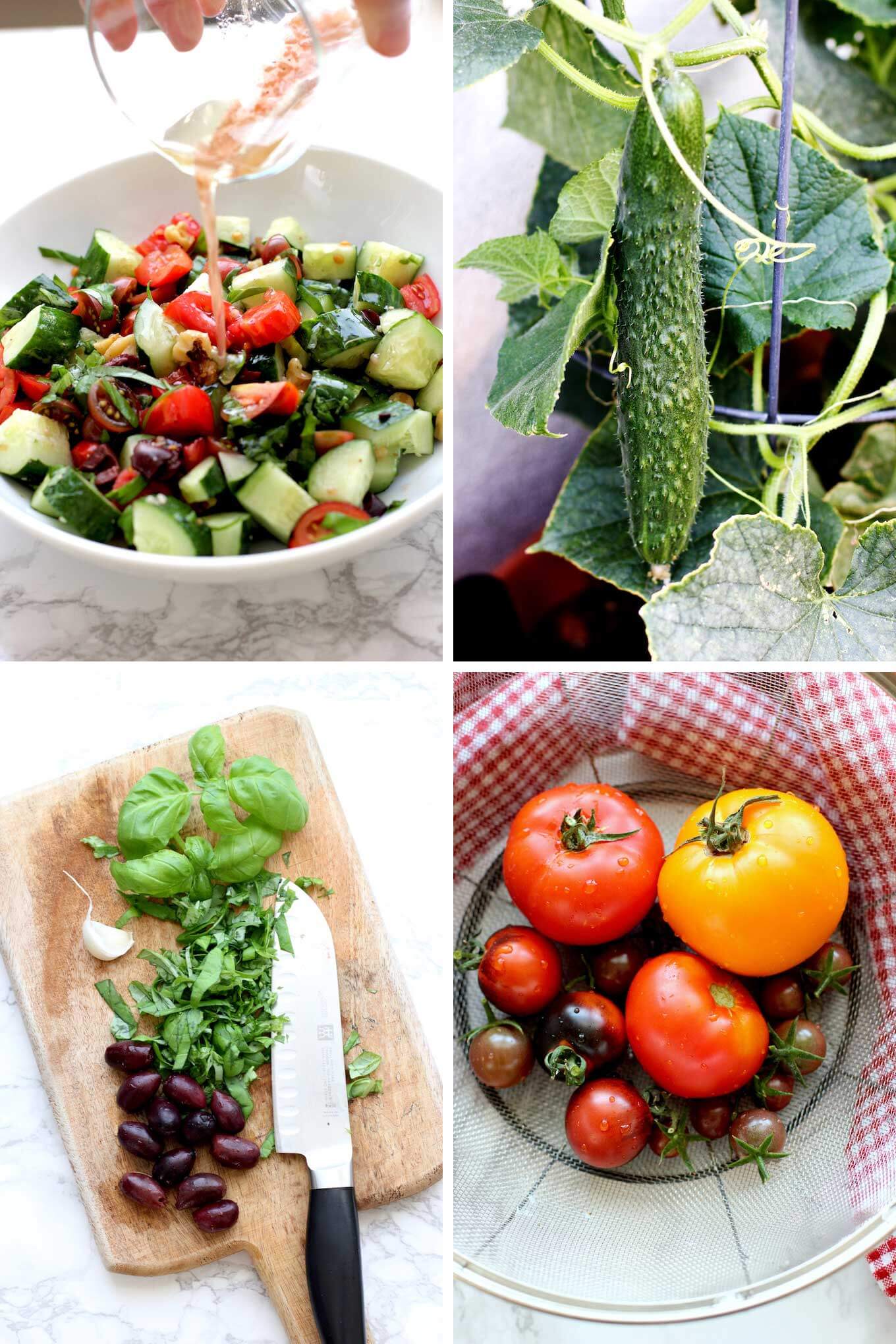 Tomato Cucumber Salad | Green Valley Kitchen